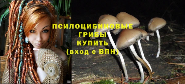 дурь Волосово