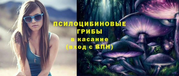 бошки Абинск